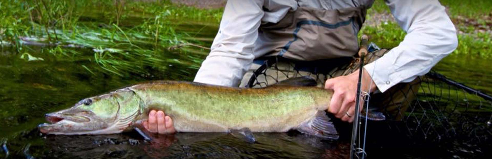Fishing Reports