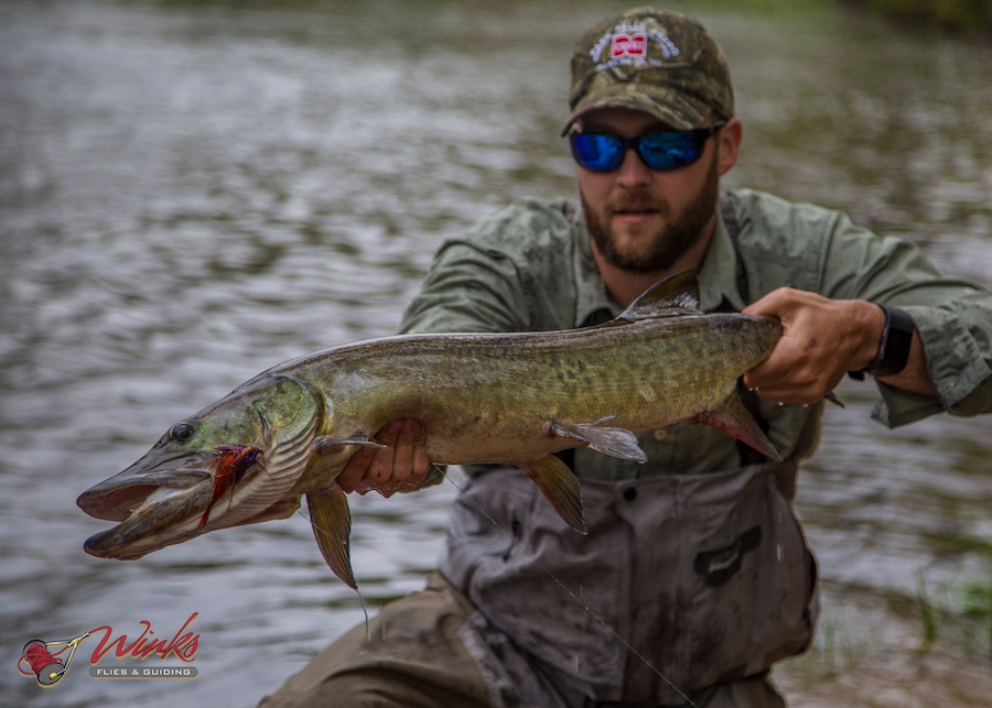 Wisconsin Musky Fishing Season